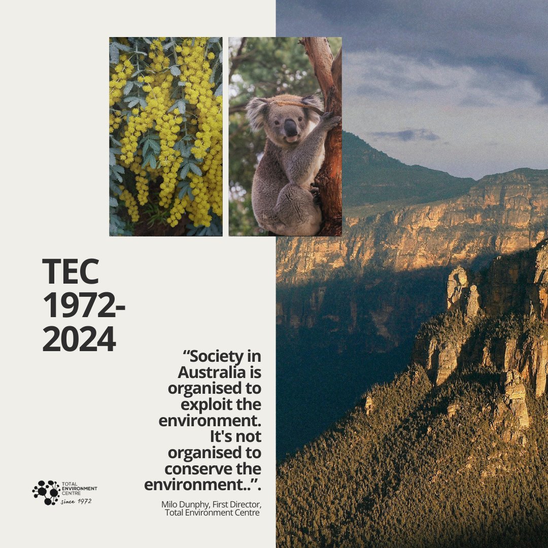 Total Enviro Centre tweet media