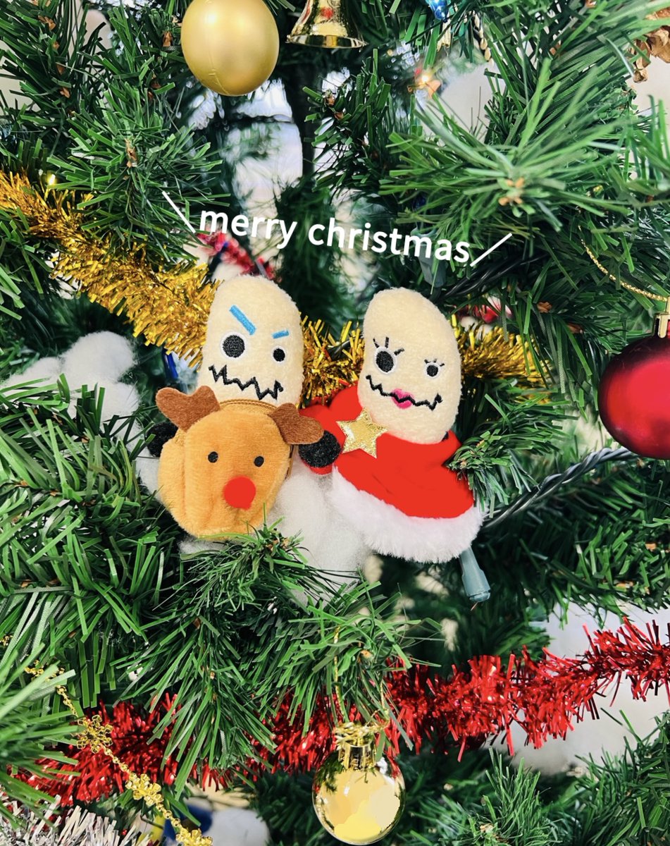 B1Wスエードタペストリー やたぬき圭　クリスマス 今さらクリスマス投稿すみません。 でも期間的にはまだ