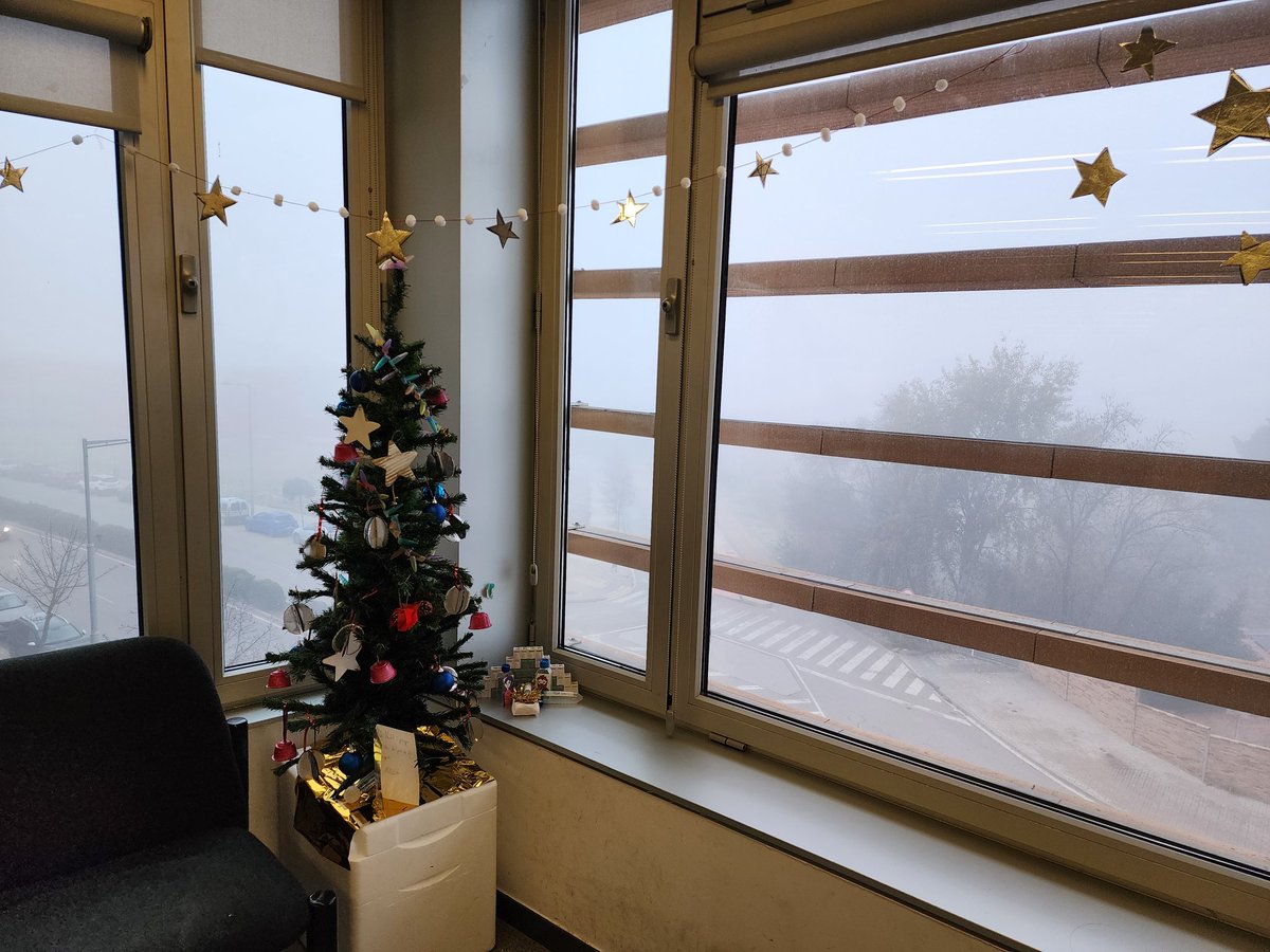SerafiCambray's tweet photo. Christmas is coming to @IRBLleida_Info . #Lleida #Boira #Nadal https://t.co/xiIz0VWsQJ
