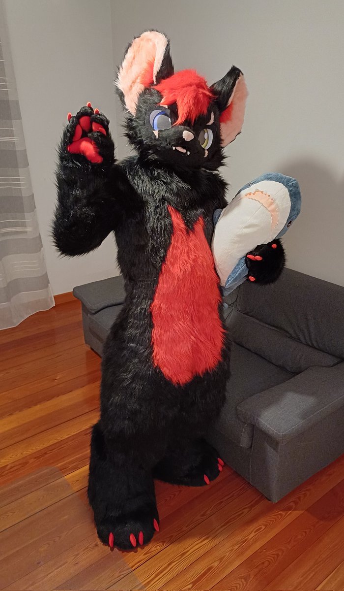 Well it's known that cats love the fish but I especially love this one 
🐱❤️🦈

#Fursuit #FursuitEveryday #Kemono #Blahaj