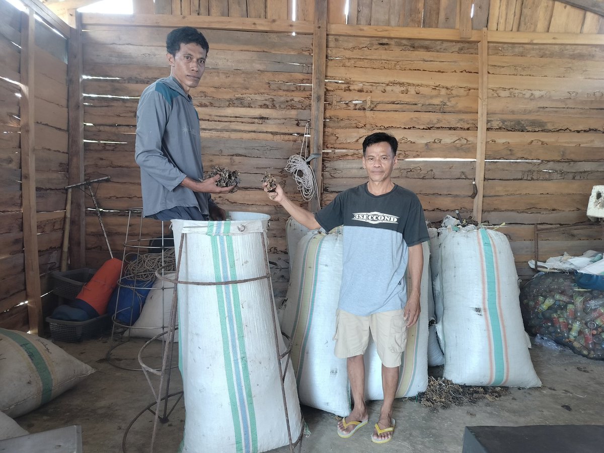 hasrlana80's tweet photo. Rabu,(11/12), Hasriana,Luhkan Kab.Luwu, Melaporkan Hasil Produksi Budidaya Rumput Laut E. cottonii di Pelaku Usaha An. Ikhlas, Desa Tirowali kecamatan Ponrang, kurang lebih 540 Kg (Kering) harga Rp.14000/kg
#GiatLuhkanSatminkalMaros
#luhlapor
@BRPBAP3_Maros
@bppsdm_kp
@pusluh_kp https://t.co/ZDPyDzhWEn
