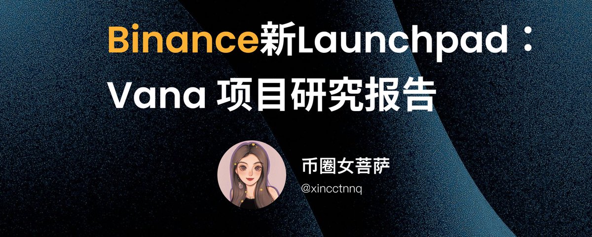 Binance新一期Launchpad：Vana 项目研究报告