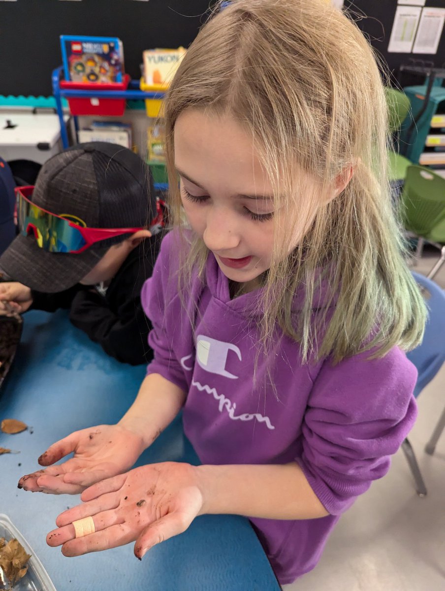 Ms Barrington tweet media