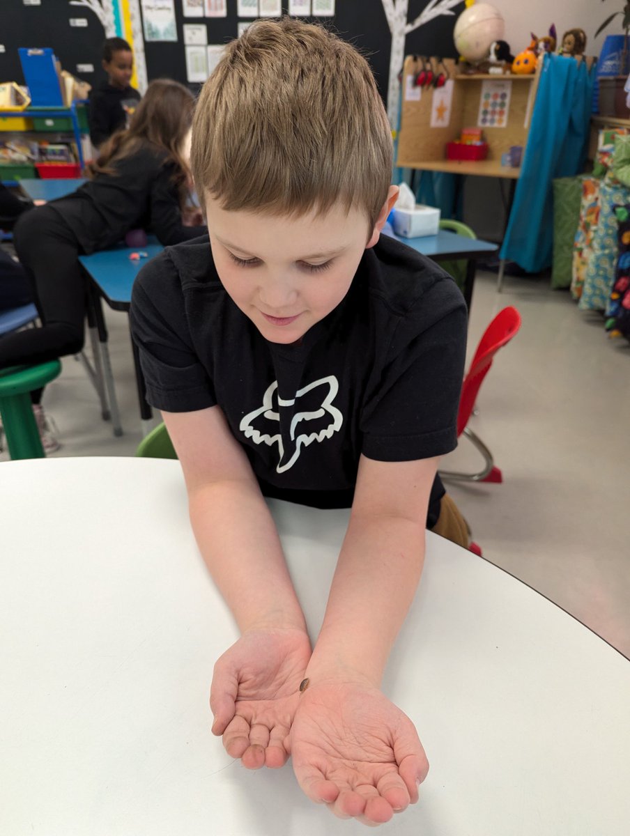 Ms Barrington tweet media