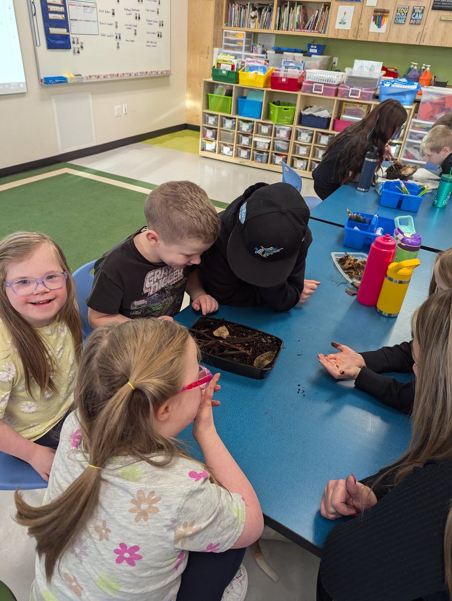 Ms Barrington tweet media