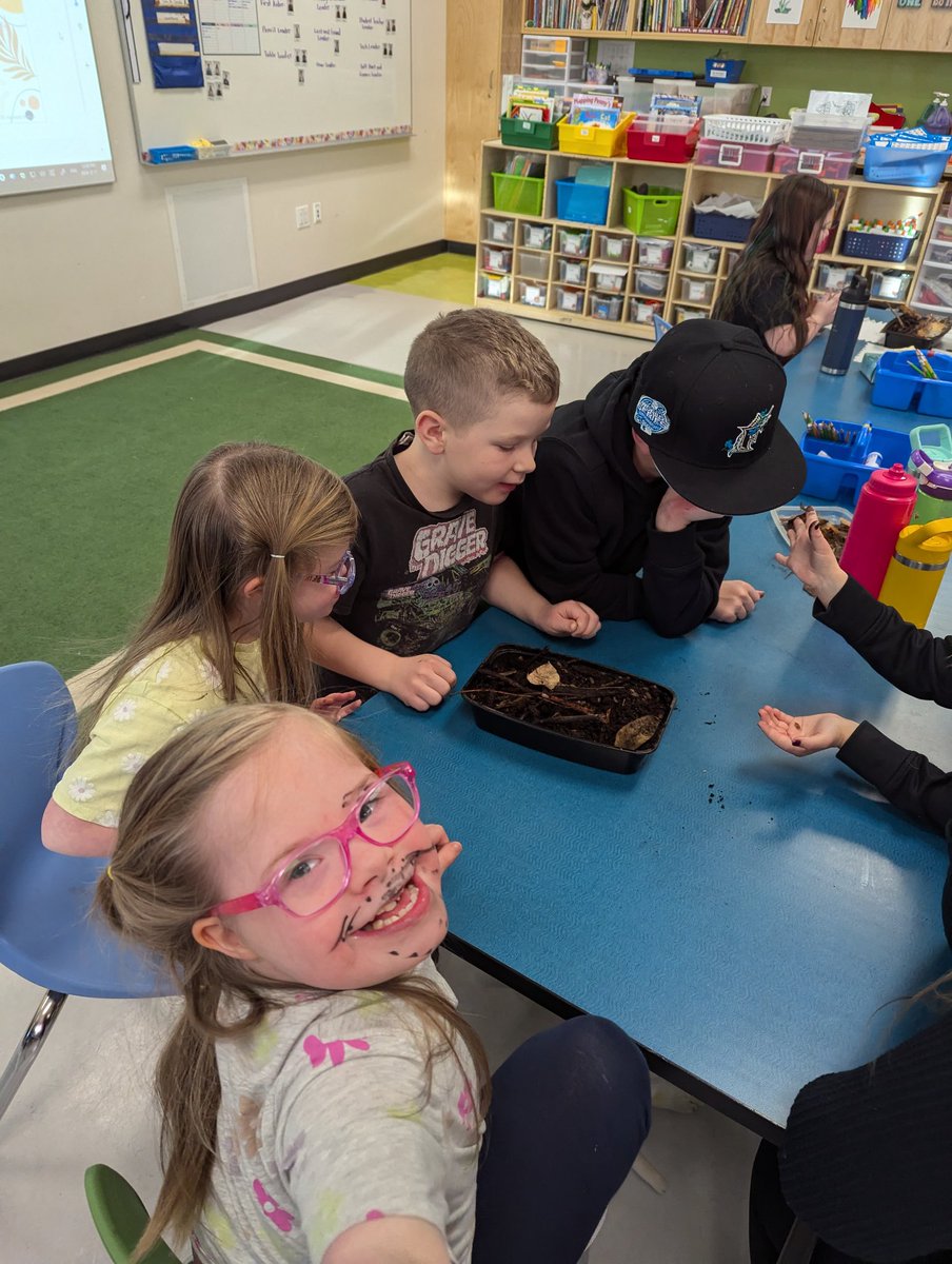 Students continue to care for our classroom isopods, preparing the vivariums for the break with fresh food and water <a href="/ChristinaGFMPSD/">ChristinaGordon</a> <a href="/FMPSD/">Fort McMurray Public School Division</a> #iteachthird #isopods #scienceisfun #grade3istheplacetobe