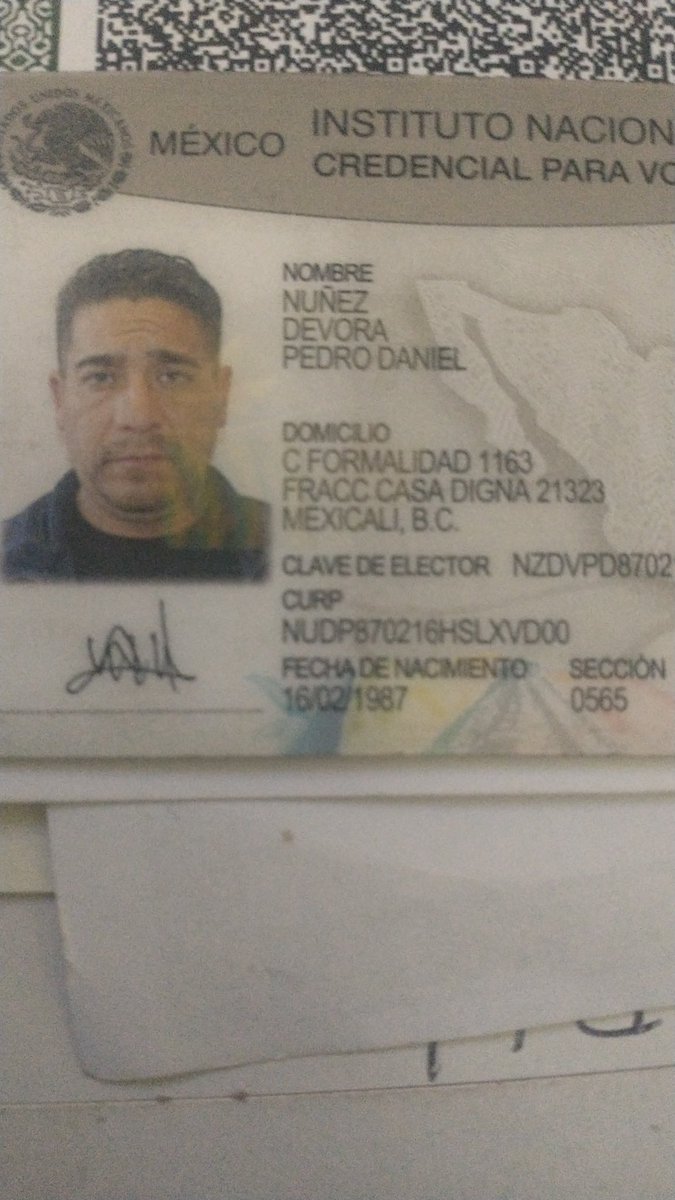 axelbcd219009's tweet image. 