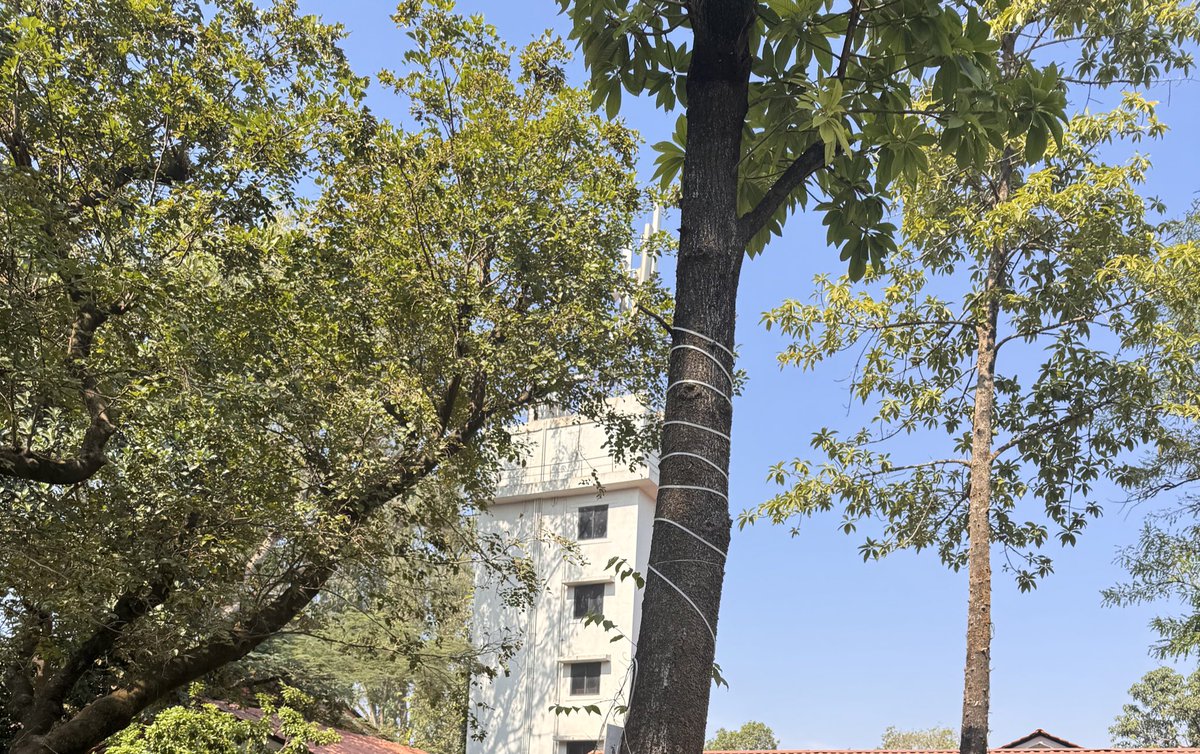 nisharai_ggc's tweet photo. Coming back to #GRAP4 city is so toxic but do we have a choice
#Workplace
From a short vacation at #Pune #Lonavla with watching Gorgeous blue sky #sunrise makes u feel little low on energy 🦋
#AQI 424 #noida
Sometimes
#TitliTuesday
#NatureTuesday
#IndiAves
@ParveenKaswan https://t.co/r0Q25Jhw9p