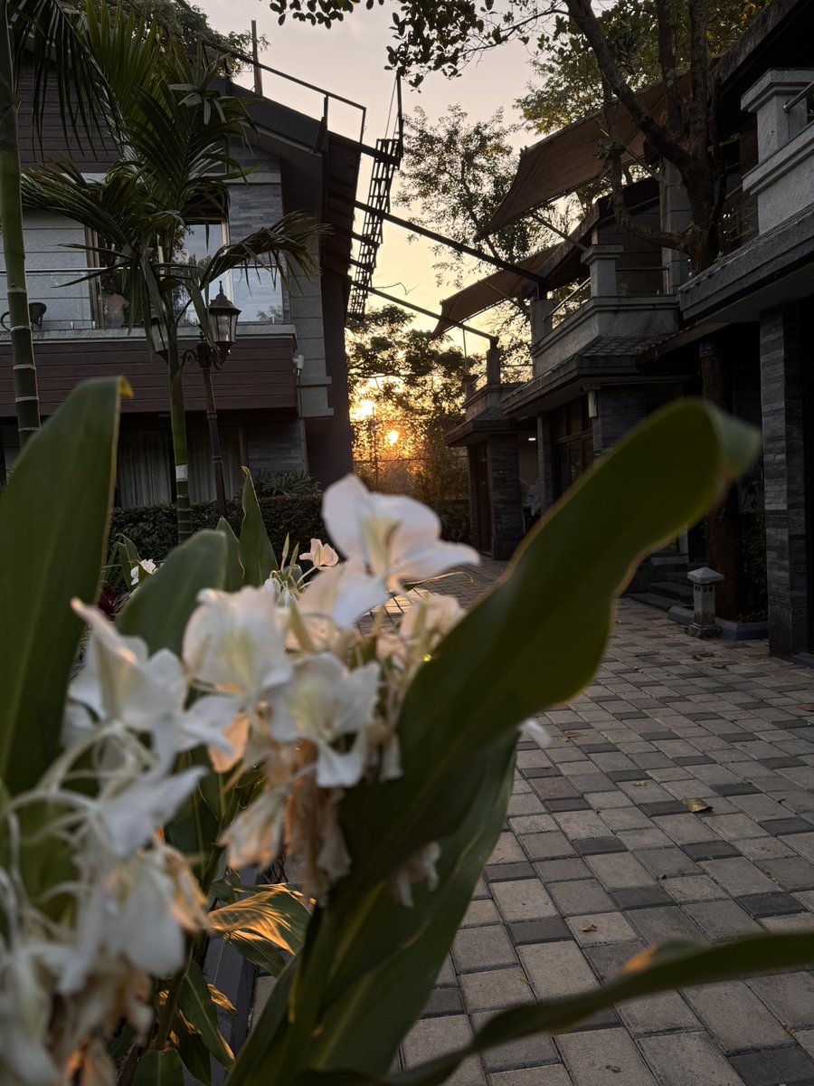 nisharai_ggc's tweet photo. Coming back to #GRAP4 city is so toxic but do we have a choice
#Workplace
From a short vacation at #Pune #Lonavla with watching Gorgeous blue sky #sunrise makes u feel little low on energy 🦋
#AQI 424 #noida
Sometimes
#TitliTuesday
#NatureTuesday
#IndiAves
@ParveenKaswan https://t.co/r0Q25Jhw9p
