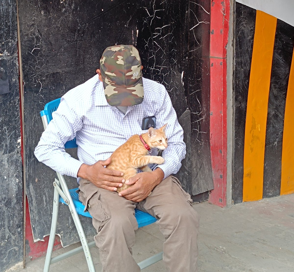 AdyaDadhich's tweet photo. Woke up @ 5am to finish some work &amp; my PG akka made me chai (I've not paid this month's rent yet T-T).
Then changed 10 fits, ended up wearing the 1st one (credit: bestie)
Got a call from a long distance friend &amp; showed him blr weather &amp; cute kitty.

Day is going good so far🎀 https://t.co/Xm54W2vCNN