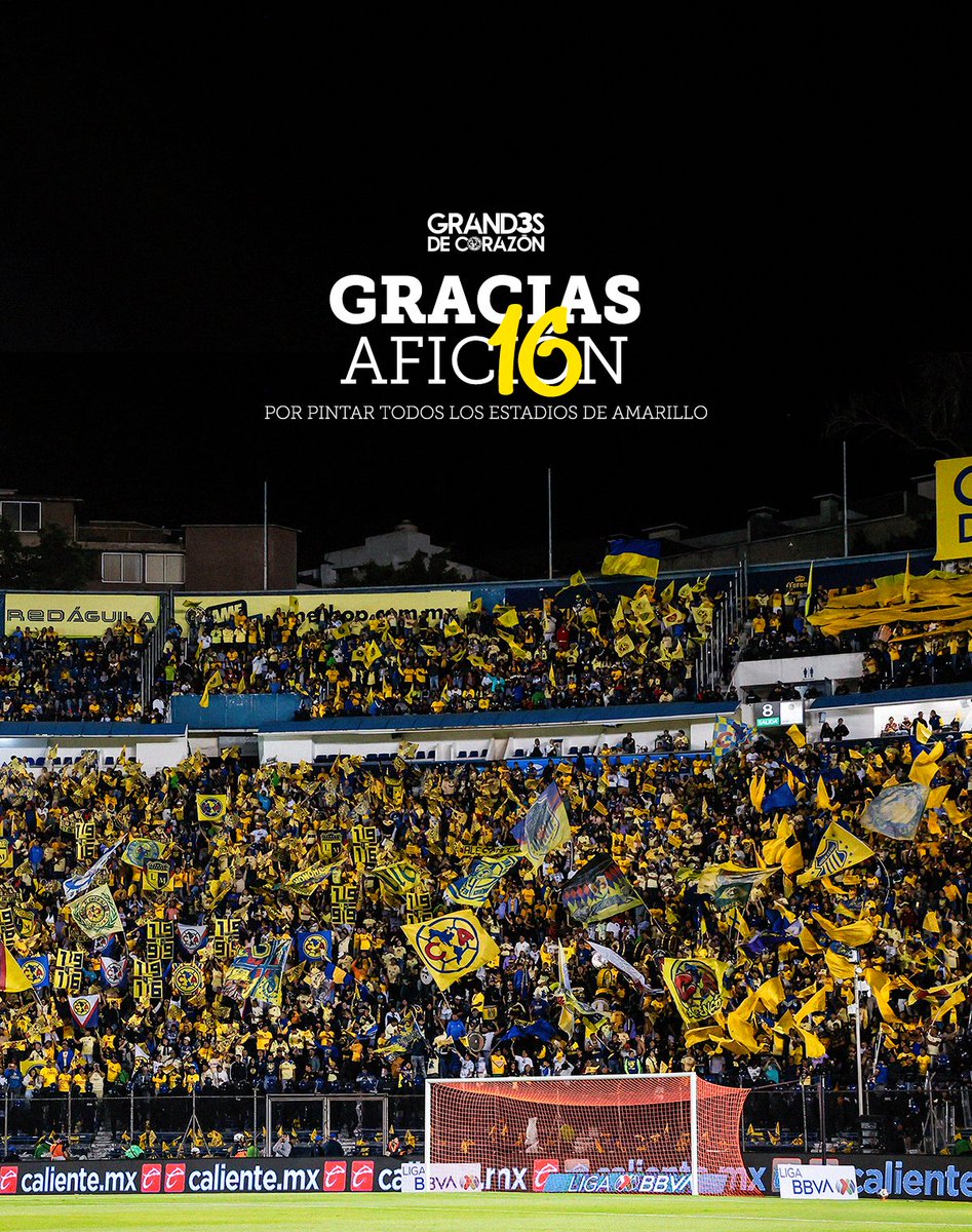 Ahora sí, sin perder la costumbre...

¡Gracias, eternas gracias, afición, por su inconmensurable apoyo a lo largo de todo el torneo!

Sin ustedes, este cierre de año y torneo tan increíble no hubiera sido posible, son lo máximo. 💙💛

#Grand3sDeCorazón