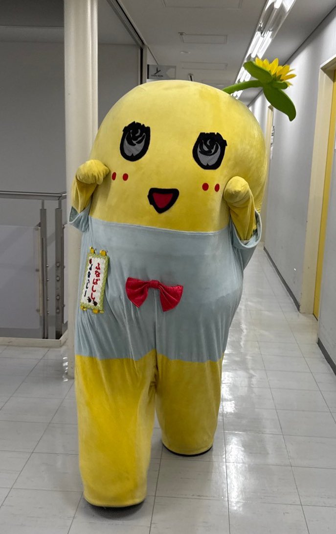 funassyi's tweet photo. ヾ(。゜▽゜)ノこんなっしー♪ https://t.co/Fg2CNs9wsg