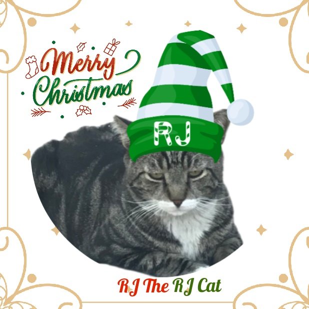 RJTheRJCat2's tweet photo. I'm getting into the holiday spirit with #NewProfilePic
#RJTheRJCat
#holidayseason
#CatsOfX #CatsofTwittter
#LookingAdorable https://t.co/1j2t78rcKN