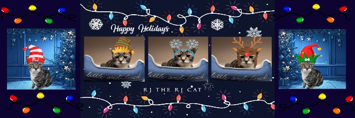 RJTheRJCat2's tweet photo. I'm getting into the holiday spirit with #NewProfilePic
#RJTheRJCat
#holidayseason
#CatsOfX #CatsofTwittter
#LookingAdorable https://t.co/1j2t78rcKN