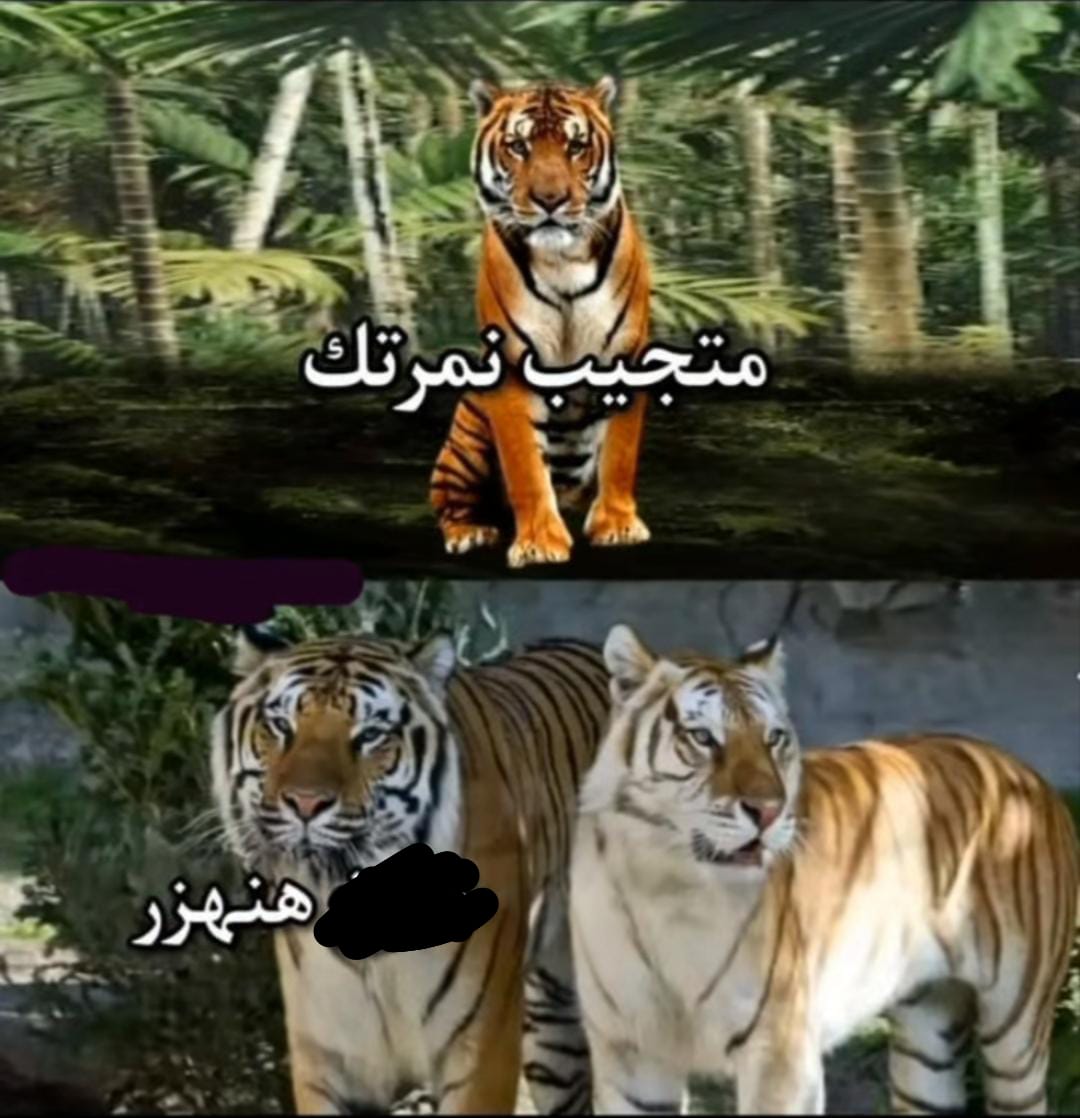 unavailable_r_'s tweet photo. هههههه https://t.co/eDlGysRDP4