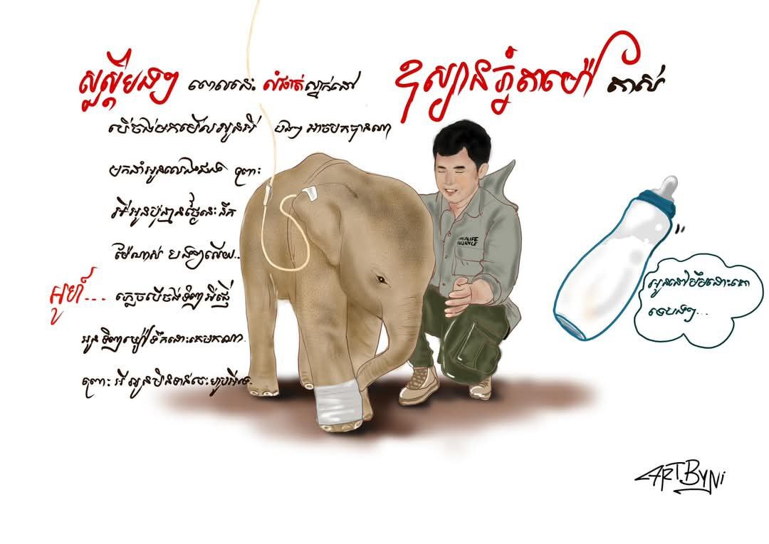 Lomphat: An injured 5-Month-Old Baby Elephant Finds a New Home at Phnom Tamao Wildlife Rescue Center

wildlifealliance.org/5-month-old-in…