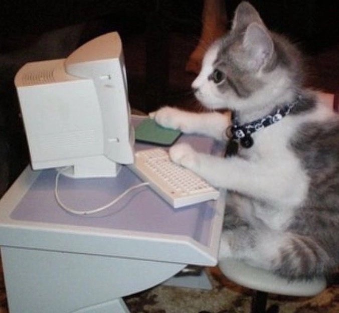 ultralight beam (@njorogeeeh_) on Twitter photo 