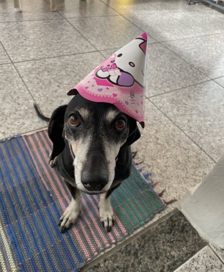 SuzyNoronha's tweet photo. Parabéns, Malu https://t.co/GssWBvpEhS