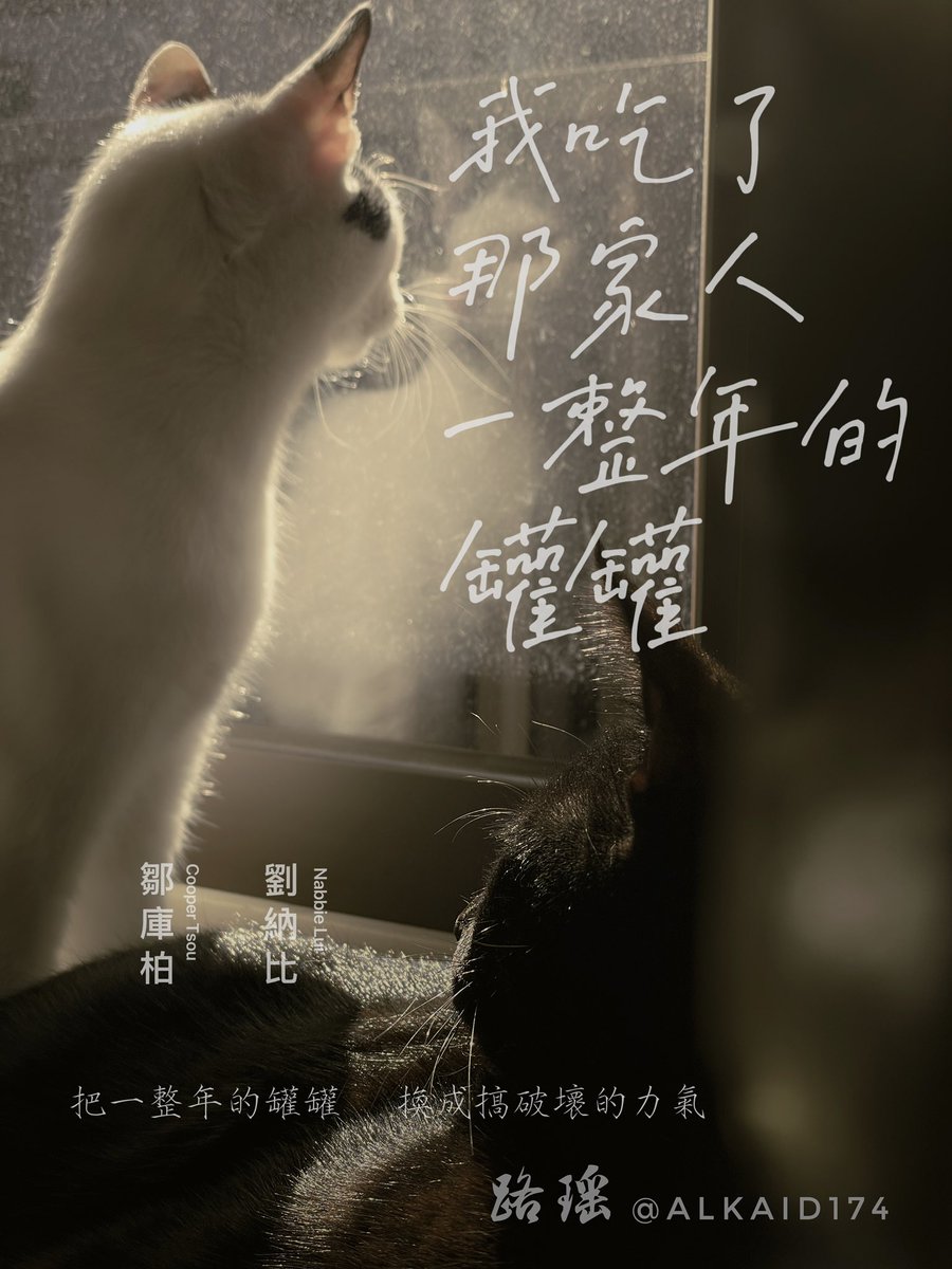 家中主子背著我偷兼職拍電影😡