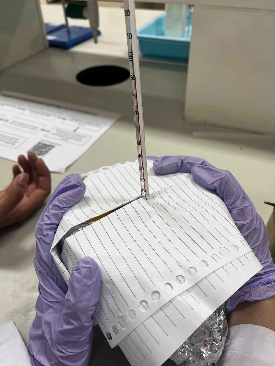 ruikopken tweet media