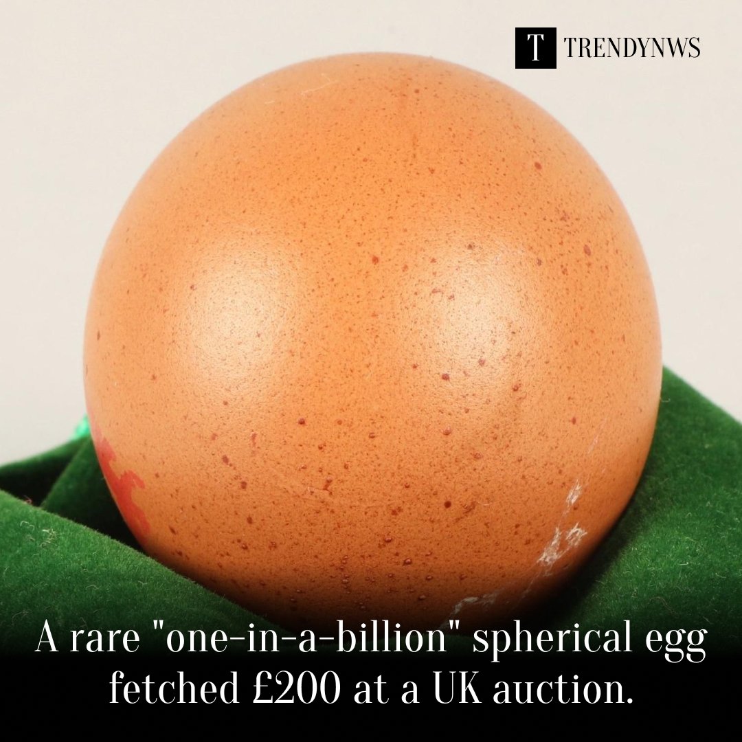 TrendyNws's tweet image. 🥚✨ "One-in-a-Billion" Egg: A rare spherical egg sells for £200 at a UK auction! 🤑

🔎 This unique find is truly egg-cellent!

Visit: trendynws.com

#rareegg #auctionfind #uniqueitems