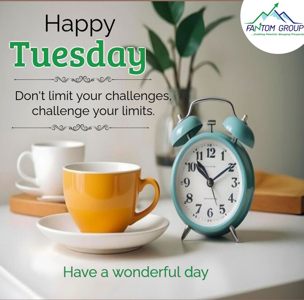FantomGrp's tweet image. Good morning! Tuesday is a chance to turn dreams into reality, step by step. Stay focused and let your light shine today
#happytuesday
#plotsavailable
#ruirukamakis
#LogBookLoans