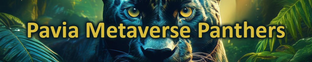 Carda_station's tweet photo. The Pavia Metaverse Panthers have landed in the moon!
We welcome the Pavia Cat NFT owners! 
This one is so fierce that we had to put into a carbon fiber enclosure!
https://t.co/8YndiWgdN7
@Paviasmetaexot1 @PaviaLee https://t.co/y3Wnxz3YHi