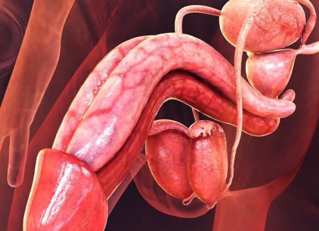 Mr Health💊💉 tweet media