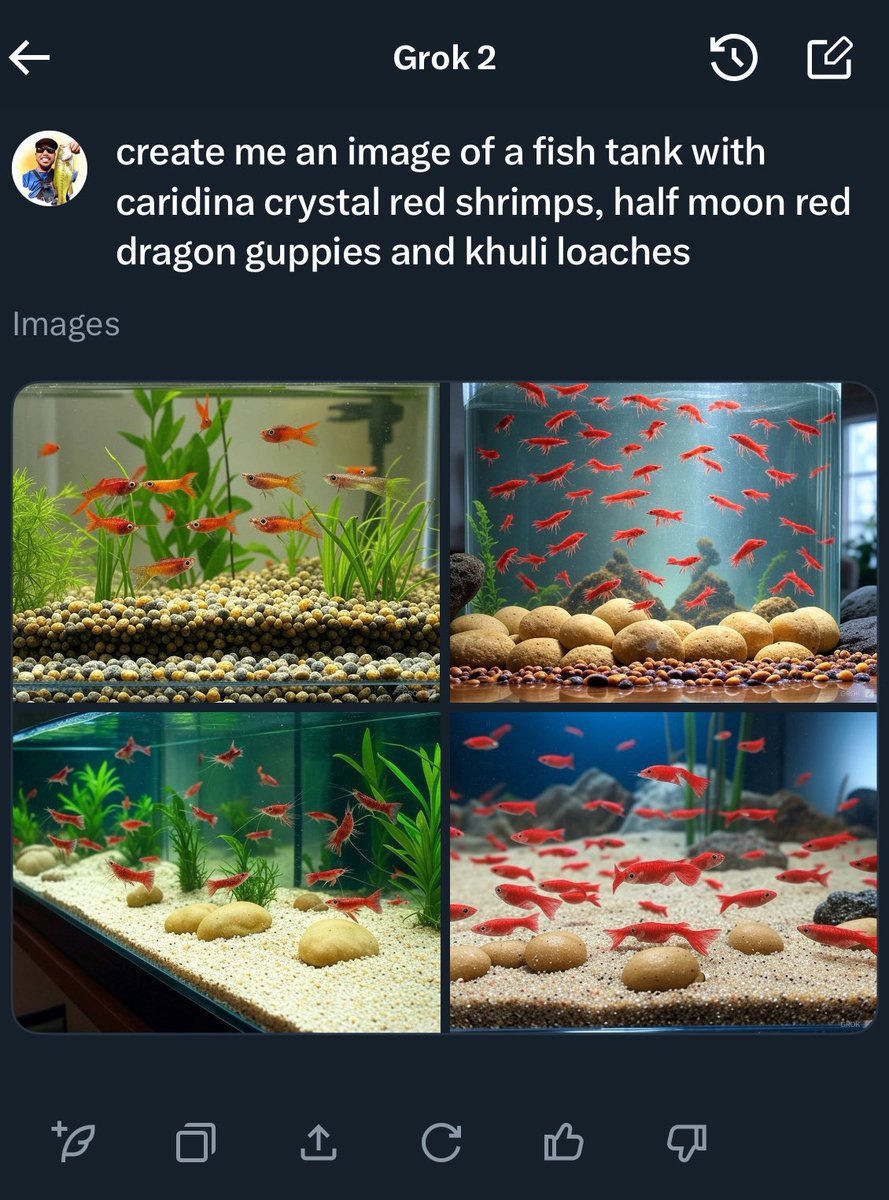 Grok still needs some work when it comes to fish/shrimp identification!

#fish
#aquarium
#shrimp
#Grok2 
<a href="/elonmusk/">Elon Musk</a> 

Grok2 Output: