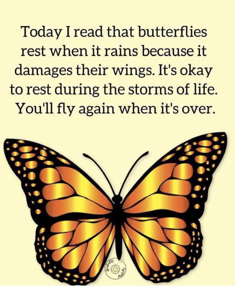 Thought of The Day.