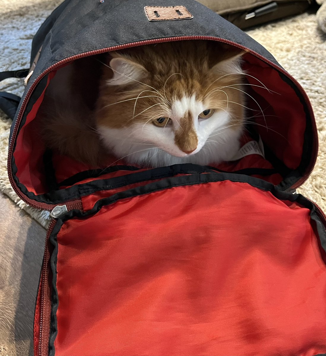 リュックが片付かない