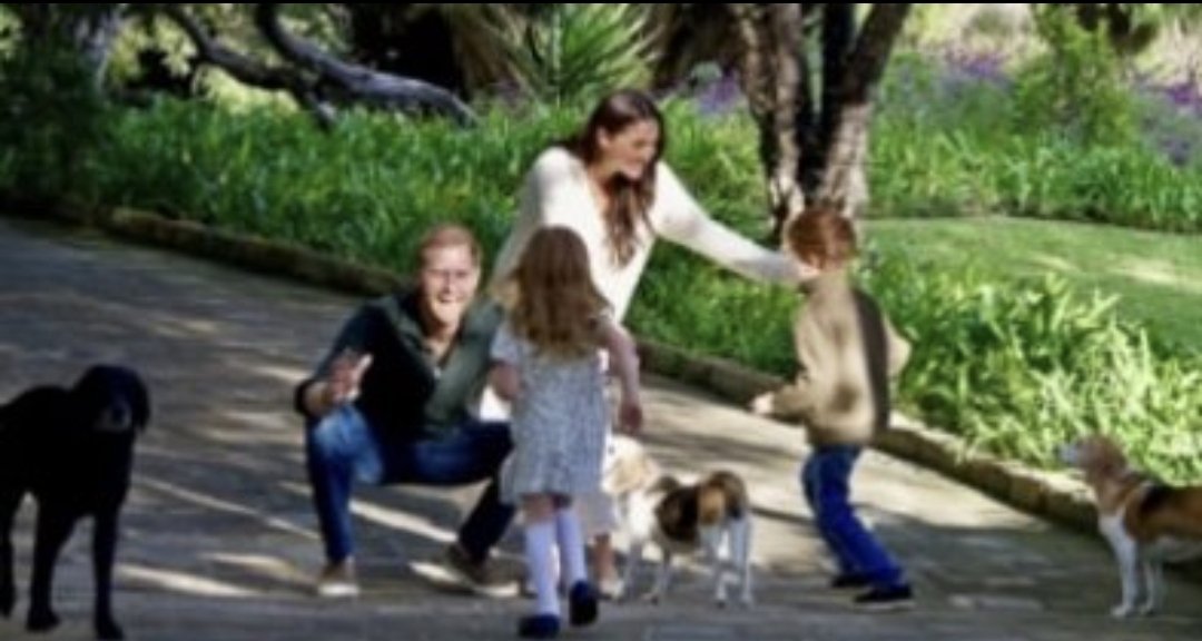 aussiechick48's tweet image. So far I've noticed Harry has extra fingers, the black Lab looks like an afterthought, #Invisibet looks like a 7 year old British girl, not a Cali blonde with blue, blue, blue eyes. Seriously what's with those fucking socks and shoes 🙄
#Archificial is not running, the smaller