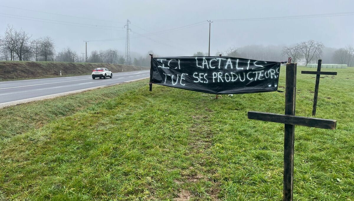 Les agriculteurs haut-saônois appellent au boycott de Lactalis, contre la fin de la collecte du lait
➡️ l.francebleu.fr/Egmo