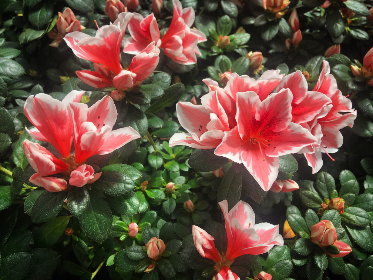 The Future of Digital Currency Initiative is a Stanford University research project focused on the “technical, legal, policy and economic challenges and opportunities of digital currencies.”