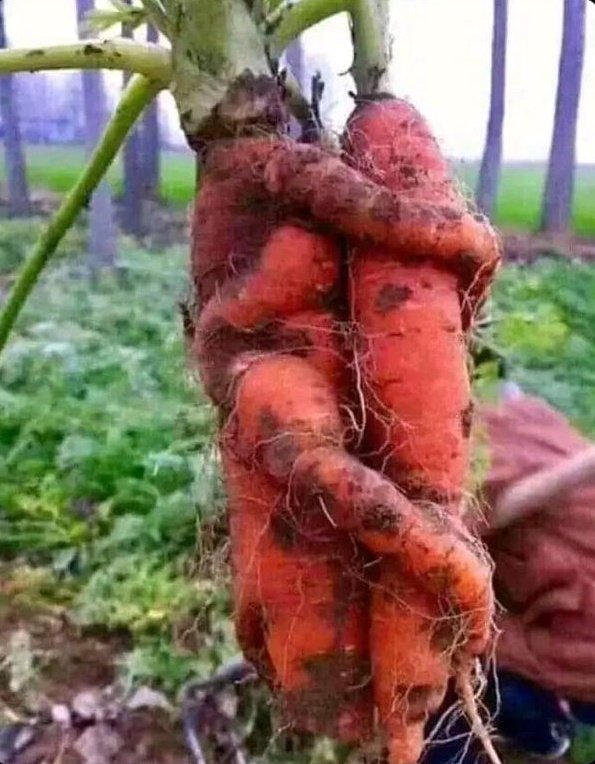 Morning to everybody on x