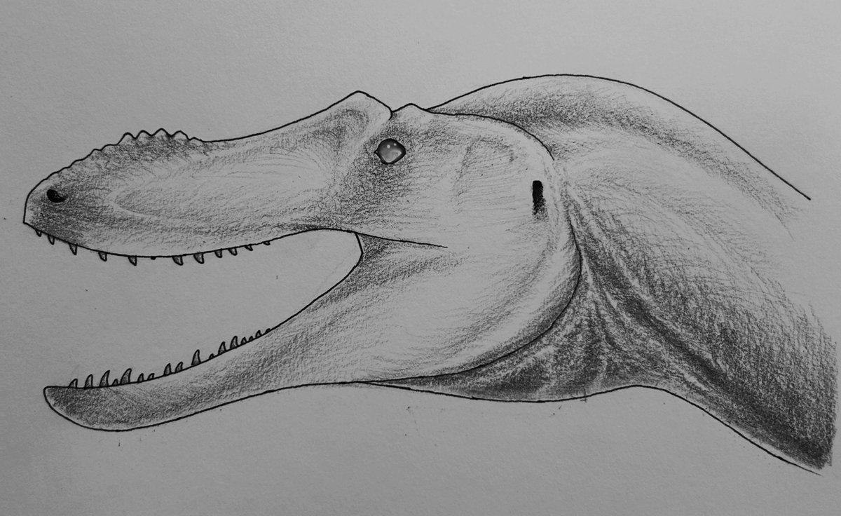 Toxic_Midget21's tweet photo. Asiatyrannus xui and qianzhousaurus sinensis https://t.co/GidPyNMX7G