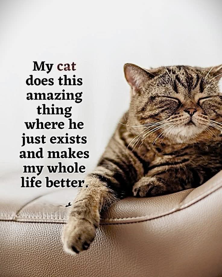snotzthecat's tweet photo. https://t.co/8vJtpmoTlq