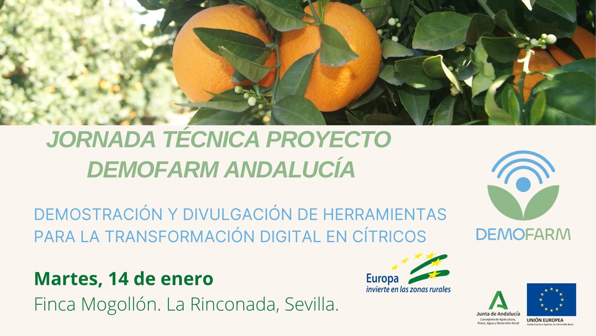 Demofarm_A's tweet photo. ¡EMPEZAMOS LAS JORNADAS DEMOFARM 2025!

🍊🍊 Jornada demostrativa de cítricos del proyecto Demofarm Andalucía🍊🍊

📅 14 ENERO 
📍 La Rinconada, Sevilla.

➡️ INSCRIPCIÓN: https://t.co/gxu4mbQDRA

PLAZAS LIMITADAS

#DemofarmAndalucía #transformacióndigital #cítricos https://t.co/AxvSPQlnz4