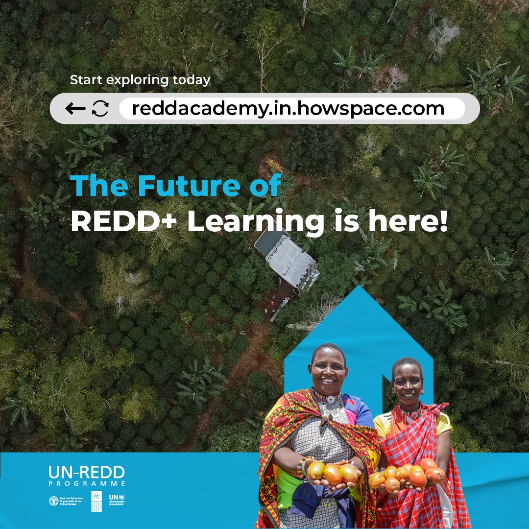 UN-REDD Programme tweet media