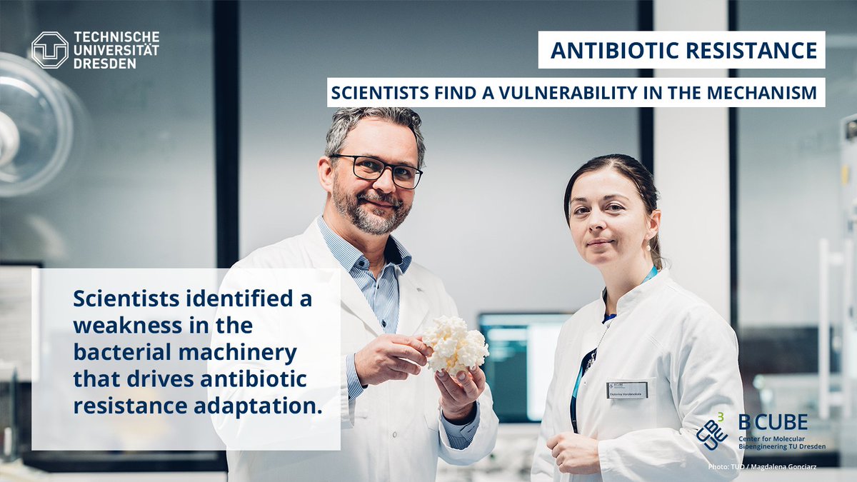 B CUBE - Center for Molecular Bioengineering (@bcube_tudresden) on Twitter photo Researchers from <a href="/Schlierf_Lab/">Michael is feeling blue</a> <a href="/tudresden_de/">TU Dresden</a> have uncovered a weak spot in bacterial antibiotic resistance mechanism. Their research can help fight superbugs 🦠 and boost effectiveness of #antibiotics 💊
Read more ➡️tud.link/srhxsr
#CMCBnews Researchers from <a href="/Schlierf_Lab/">Michael is feeling blue</a> <a href="/tudresden_de/">TU Dresden</a> have uncovered a weak spot in bacterial antibiotic resistance mechanism. Their research can help fight superbugs 🦠 and boost effectiveness of #antibiotics 💊
Read more ➡️tud.link/srhxsr
#CMCBnews