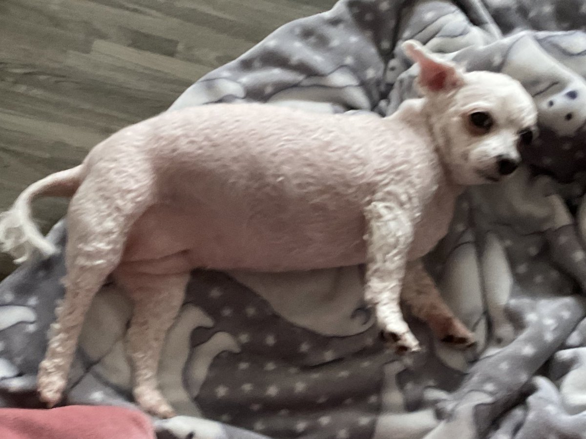 울 언니도 시험이라 오늘도 집에 일찍 와서 조았더오.