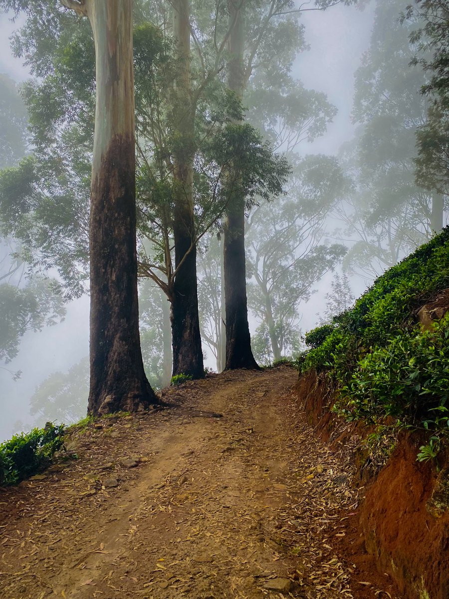 සතියක්වත් නිවාඩු දාලා ගිහින් ඉන්න ඕන තැන් ♥️