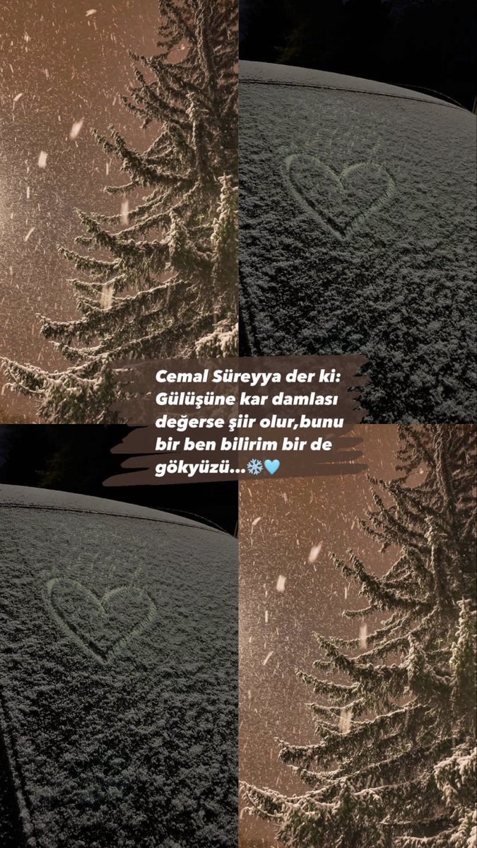 aydogan_ayser06's tweet photo. https://t.co/ETqS13FXZI