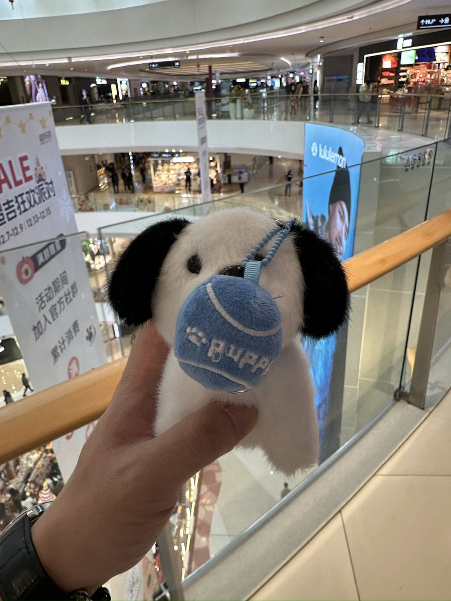 主人送了小狗一个小狗^_^