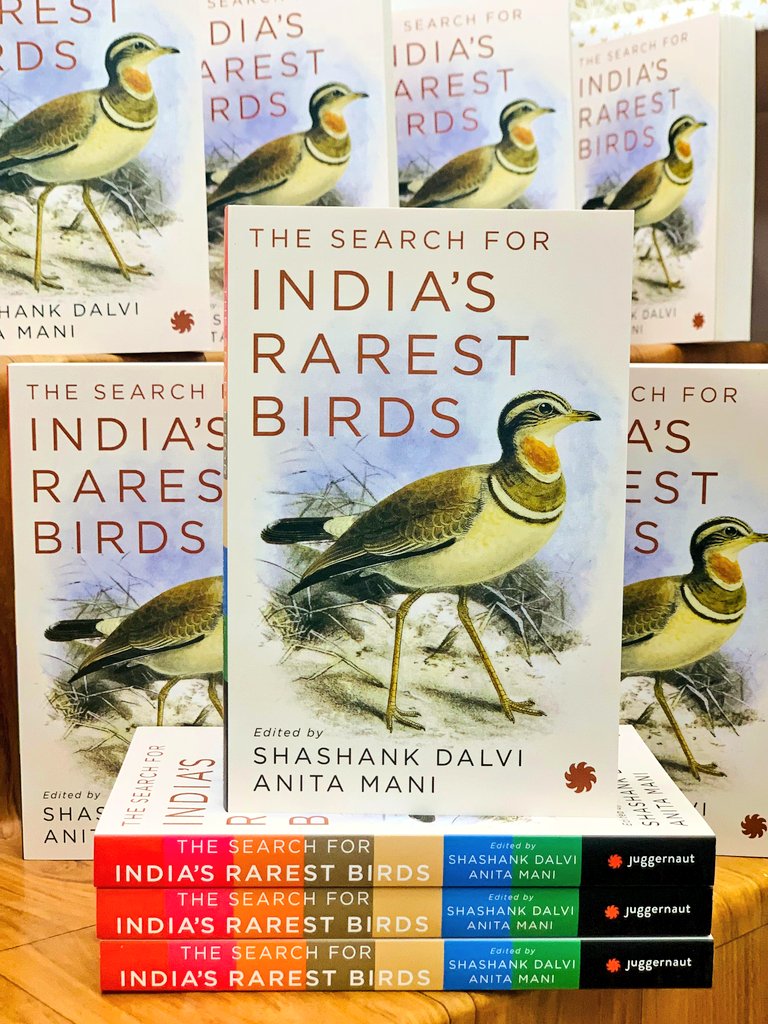 PadhegaIndia_'s tweet photo. #NewBookAlert. Flat 30% Discount.
Presenting the much awaited book: The Search for India’s Rarest Birds by Anita Mani (@Indianpittabook) &amp; Shashank Dalvi (@shashankdalvi), published by Indian Pitta Books (@juggernautbooks).
#BuyFromPI #GiftFromPI
Order 👉https://t.co/HZujo2jwZv https://t.co/8ClJcx5bpY