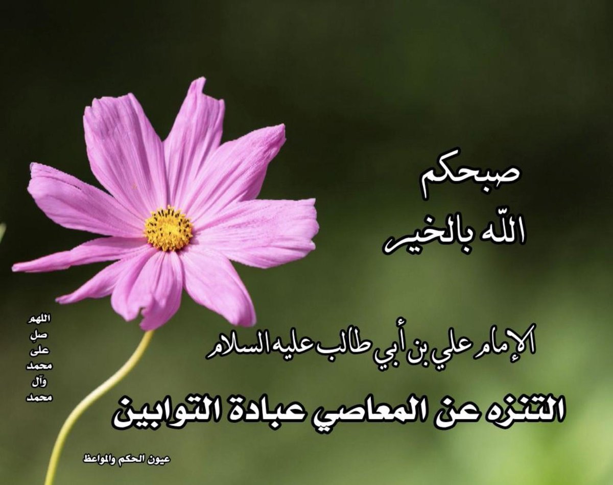 alhulale's tweet photo. https://t.co/WIHo6M7lwi