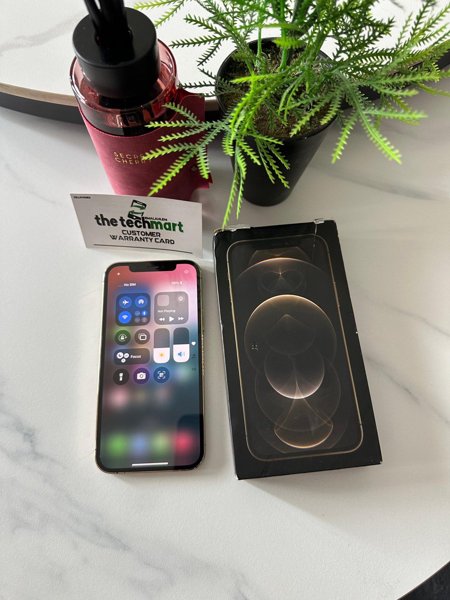 TheTechMart3's tweet photo. THETECHMART |SECUNDA|

☑️iPhone 12 Pro Gold 128GB

☑️R10 500

iPhone 12 Pro in stock✅Condition is GREAT 🔥. Phone comes with box and  original Apple charger cable 🔌.iCloud unlocked. Open to all SA 🇿🇦 networks ✅ 

✅DM/WHATSAPP us on: 071 662 3565 
(Secunda) https://t.co/R7kxL2YYbK