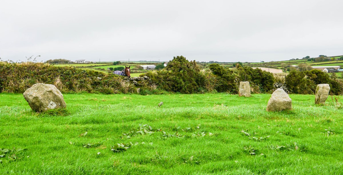 Michael Mitchell tweet media