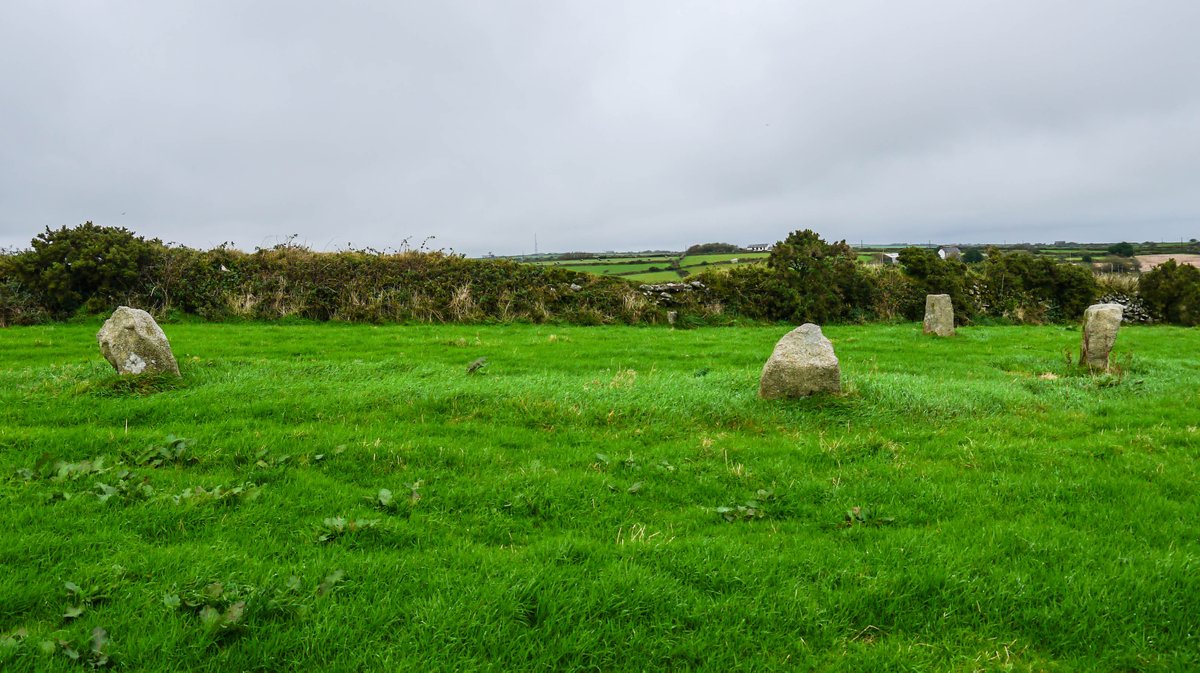 Michael Mitchell tweet media