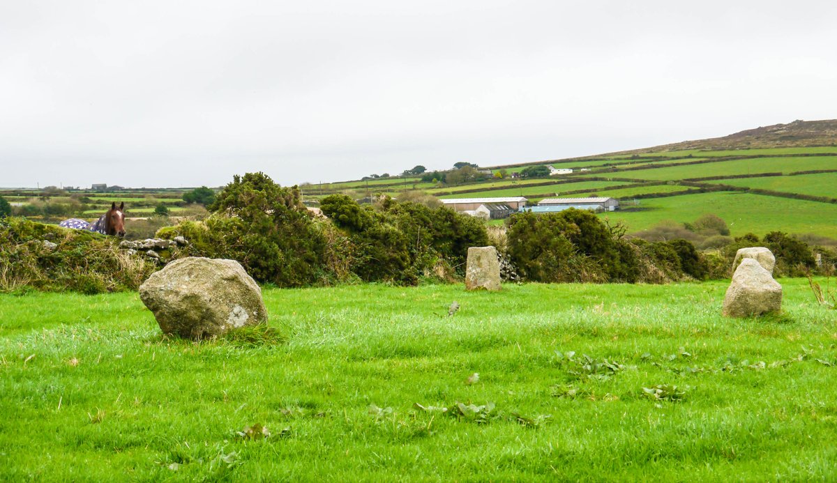 Michael Mitchell tweet media